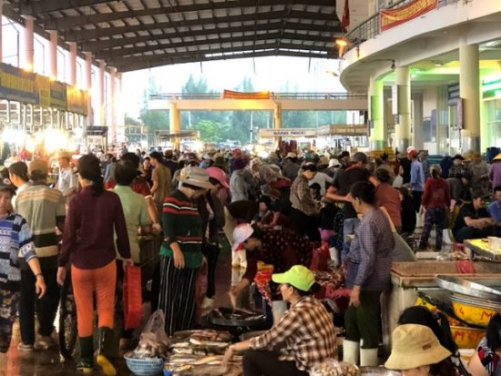 Địa chỉ mua hải sản ở Đà Nẵng giá rẻ: Mua hải sản ở đâu Đà Nẵng mang về làm quà?