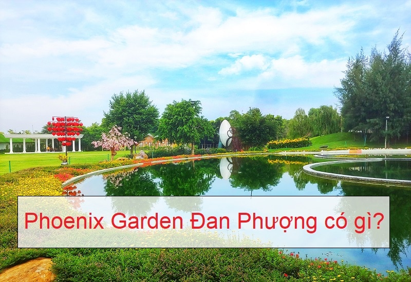 Kinh nghiệm đi Phoenix Garden Đan Phượng. Khu sinh thái Đan Phượng có gì hấp dẫn?