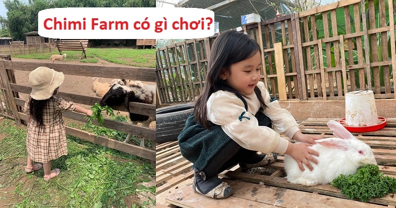Chimi Farm Hà Nội ở đâu, giá vé, có gì chơi?