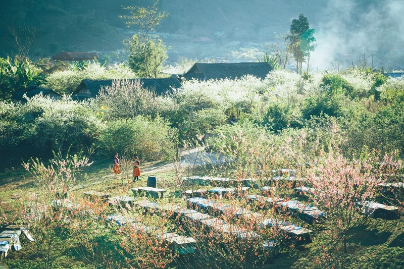 Địa điểm du lịch gần Hà Nội vào mùa đông. Du lịch hà Nội nên đi vào mùa đông