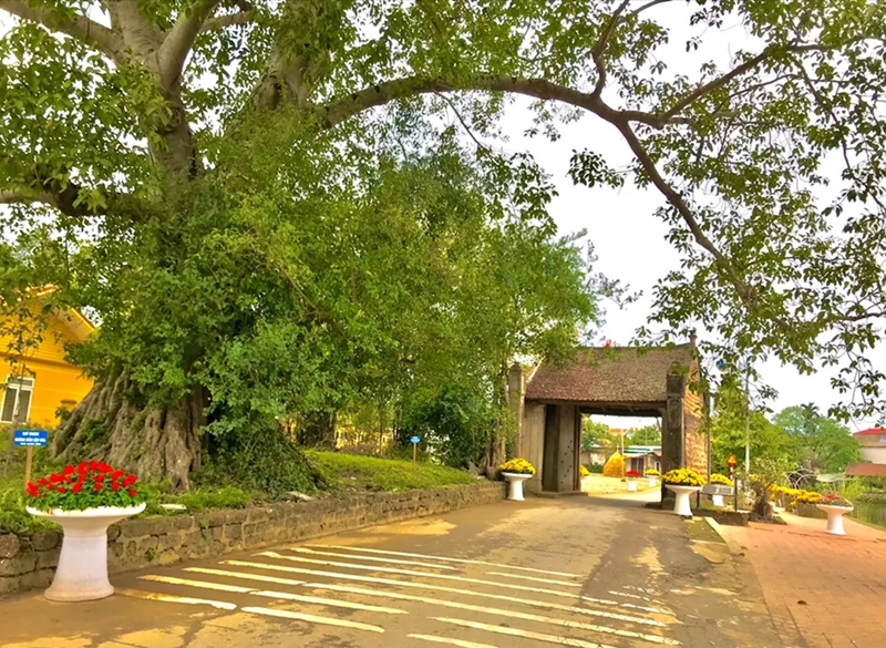 Địa điểm du lịch gần Hà Nội vào mùa đông. Du lịch Hà Nội vào màu đông