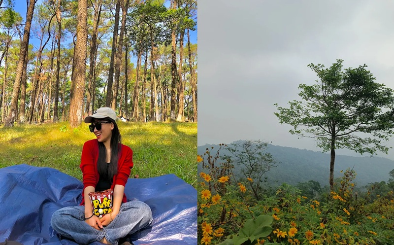 Địa điểm du lịch gần Hà Nội vào mùa đông. Mùa đông nên đi du lịch ở đâu Hà Nội