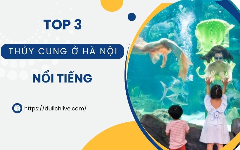 Thủy cung ở Hà Nội. Thủy cung giá rẻ ở Hà Nội