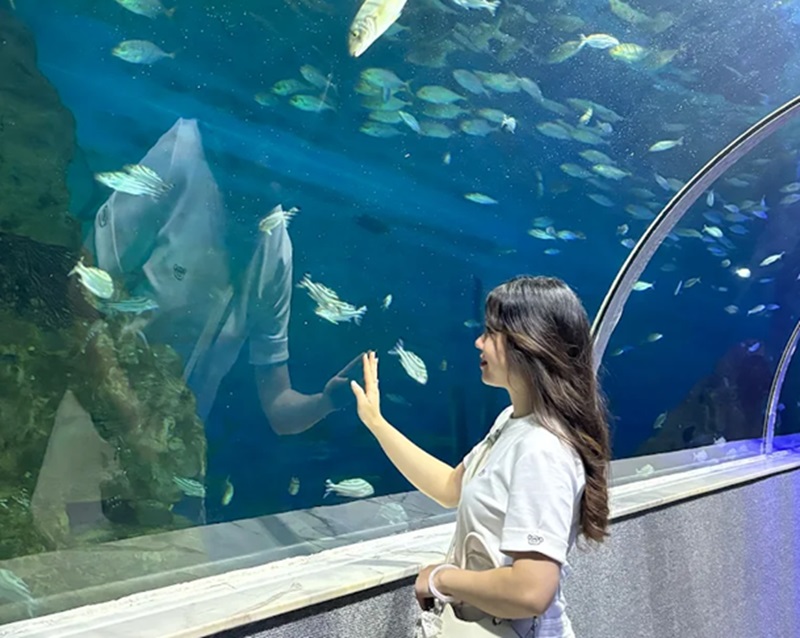 Địa điểm vui chơi ở Hà Nội dịp hè. Mùa hè nên đi đâu chơi ở Hà Nội