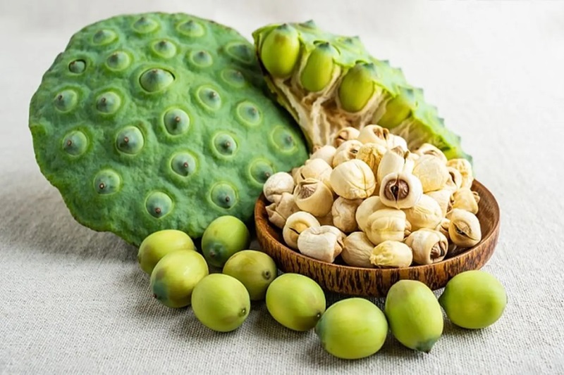 Món ăn đặc sản ở Hà Nội vào mùa hè. Mùa hè ăn gì ngon ở Hà Nội