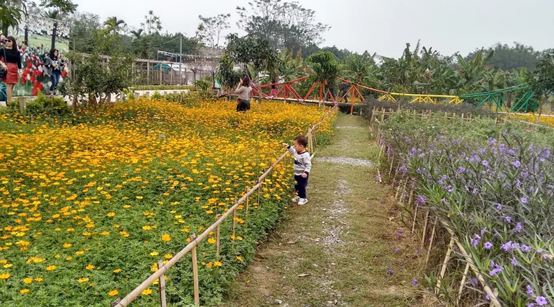 Địa điểm vui chơi ở Long Biên. Ở Long Biên nên đi đâu chơi