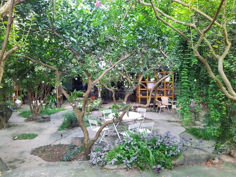 Hà Đông có gì chơi? Địa điểm vui chơi ở Hà Đông dành cho gia đình
