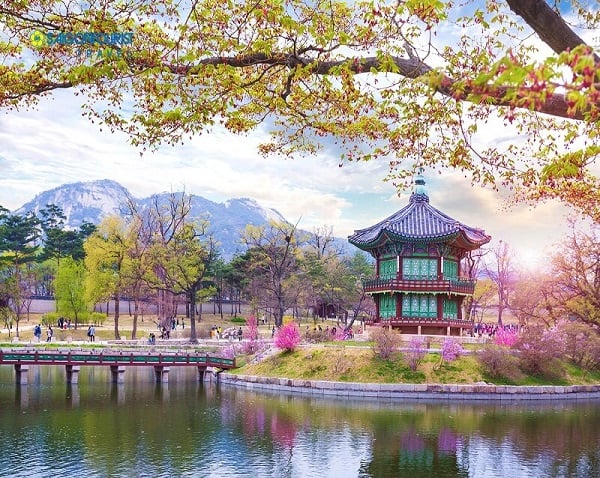 Đi du lịch Hàn Quốc thời gian này tuyệt nhất?