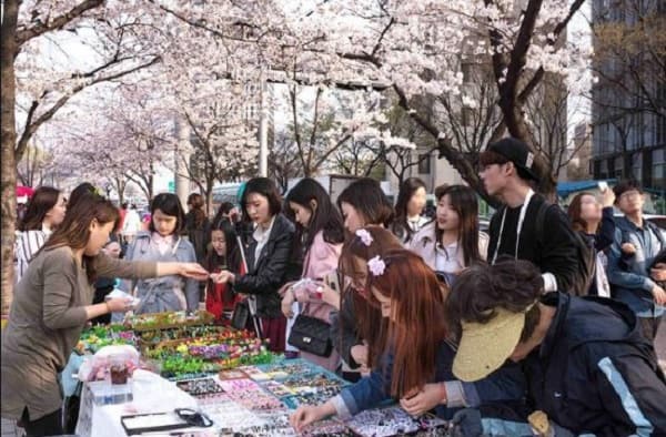Du lịch Hàn Quốc tháng 4 có gì? Du lịch Hàn Quốc nên đi đâu chơi? Lễ hội hoa anh đào