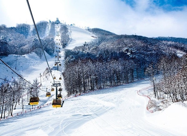 Địa chỉ trượt tuyết ở Hàn Quốc, Khu trượt tuyết Phoenix Park Resort