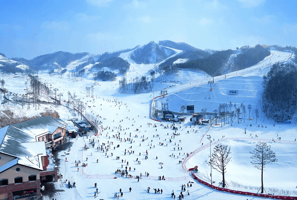 Oak Valley, khu trượt tuyết đẹp nhất Hàn Quốc