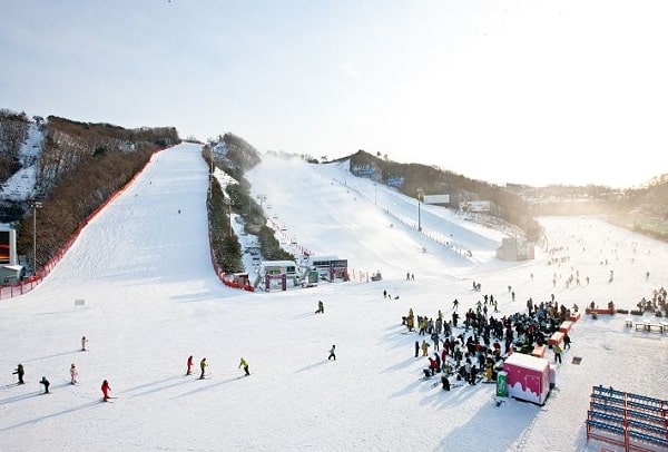 Nên trượt tuyết ở đâu Hàn Quốc, trượt tuyết ở Công viên Vivaldi
