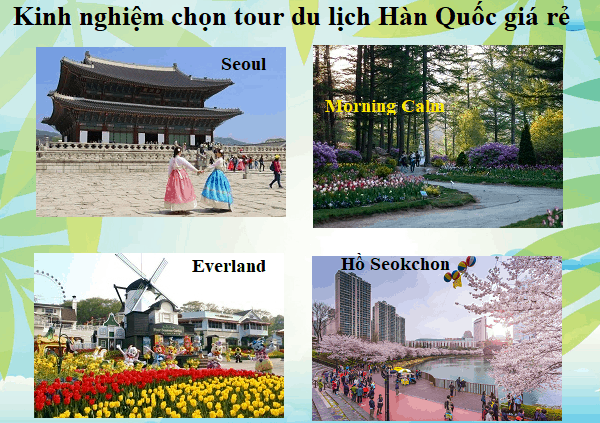 Kinh nghiệm chọn tour du lịch Hàn Quốc giá rẻ, chất lượng. Nên chọn tour du lịch Hàn Quốc nào?