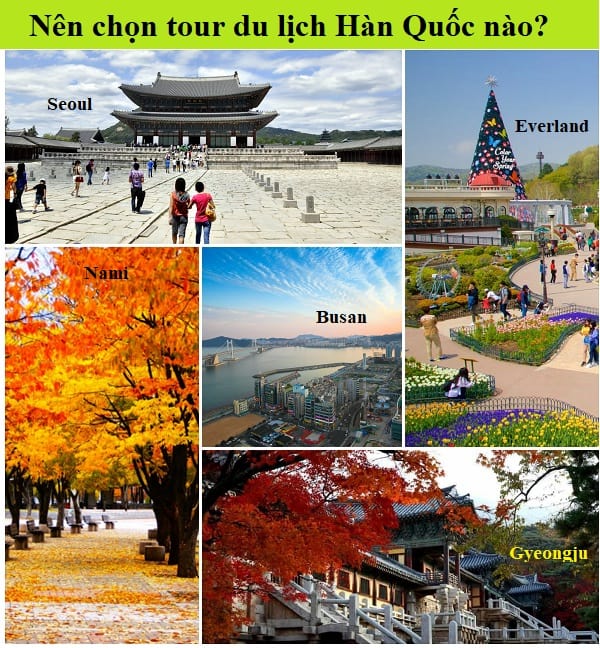 TOP 10 tour du lịch Hàn Quốc được yêu thích nhất. Kinh nghiệm chọn tour du lịch Hàn Quốc