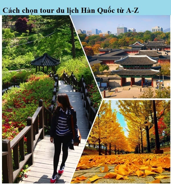 Tour du lịch Hàn Quốc mùa thu giá rẻ. Cách chọn tour du lịch Hàn Quốc