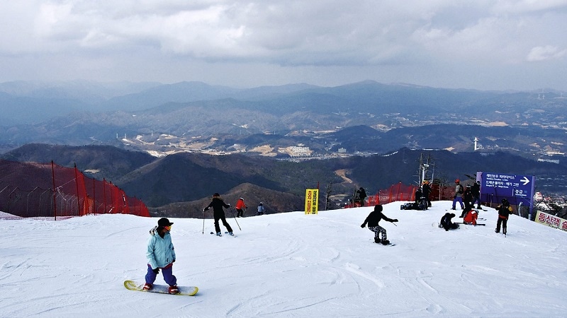 Lịch trình du lịch Gangwon 1 ngày: Trượt tuyết ở Gangwon, Hàn Quốc