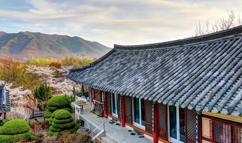 Kinh nghiệm du lịch Daegu Hàn Quốc tự túc. Địa điểm du lịch đẹp ở Daegu.