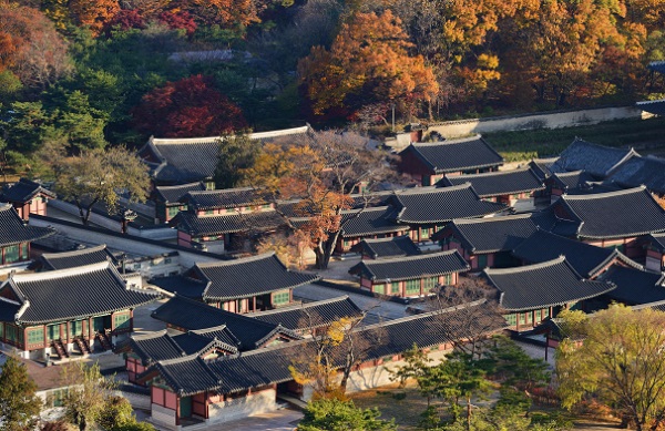 Ở Seoul Hàn Quốc có những cung điện nào? Cung điện Changdeokgung