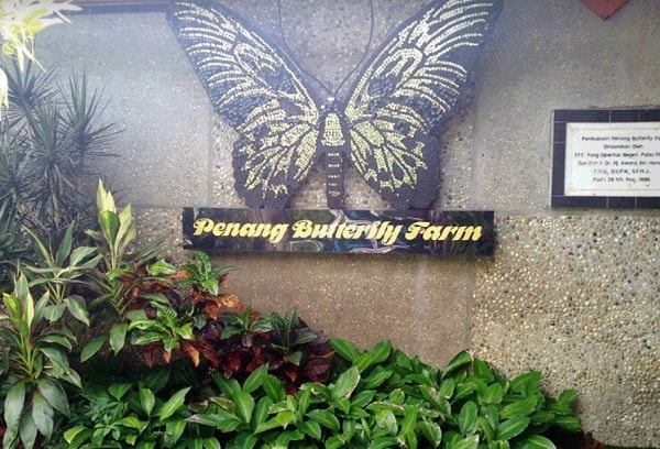 Du lịch Malaysia nên đi đâu chơi? Địa điểm tham quan ở Penang Malaysia. Entopia by Penang Butterfly Farm trang trại bướm