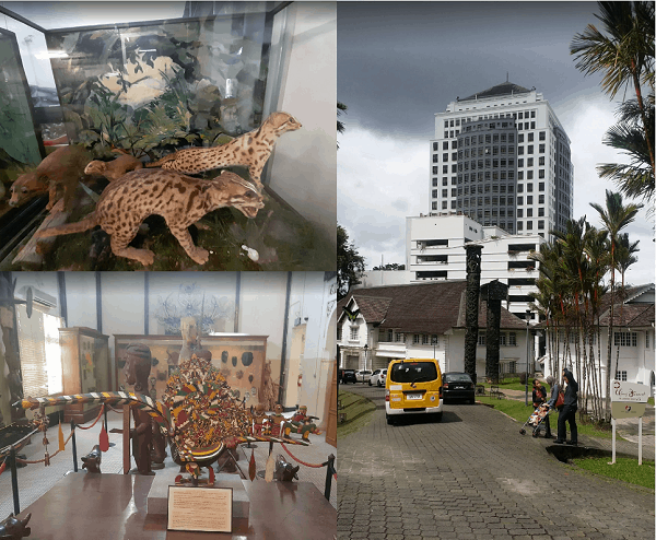 Kinh nghiệm du lịch Kuching mới nhất. Nên đi đâu chơi gì ở Kuching? Bảo tàng Sarawak Museum