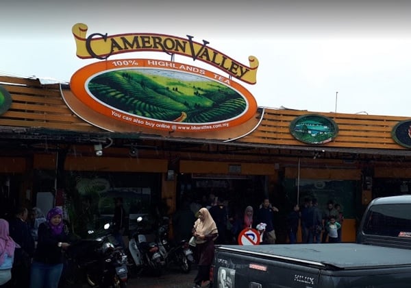 Du lịch Cameron Malaysia nên mua gì về làm quà? Địa chỉ mua quà giá rẻ ở Cameron. Chè Cameron Valley