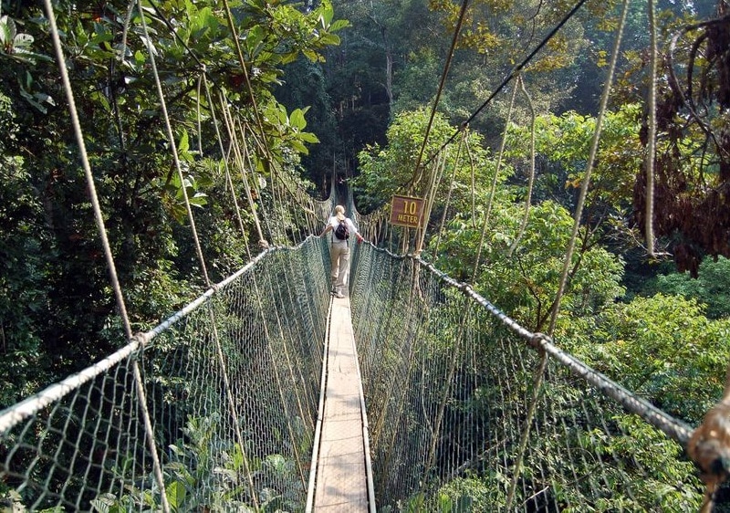 Lịch trình du lịch Malaysia 2 tuần, Vườn quốc gia Taman Negara