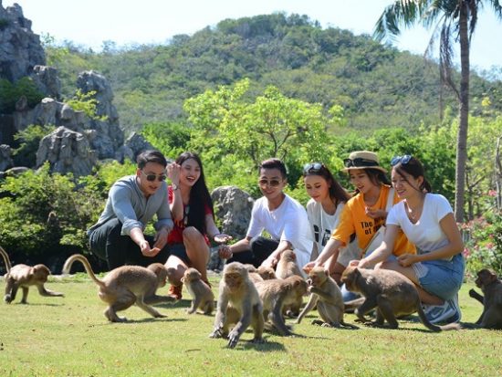 Kinh nghiệm du lịch đảo Khỉ Nha Trang: Chơi gì ở đảo khỉ Nha Trang?