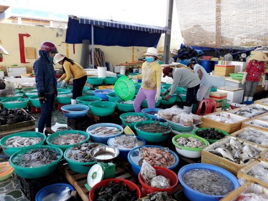 Chợ hải sản ở Nha Trang giá rẻ, nổi tiếng: Mua hải sản tươi sống ở đâu Nha Trang giá rẻ?