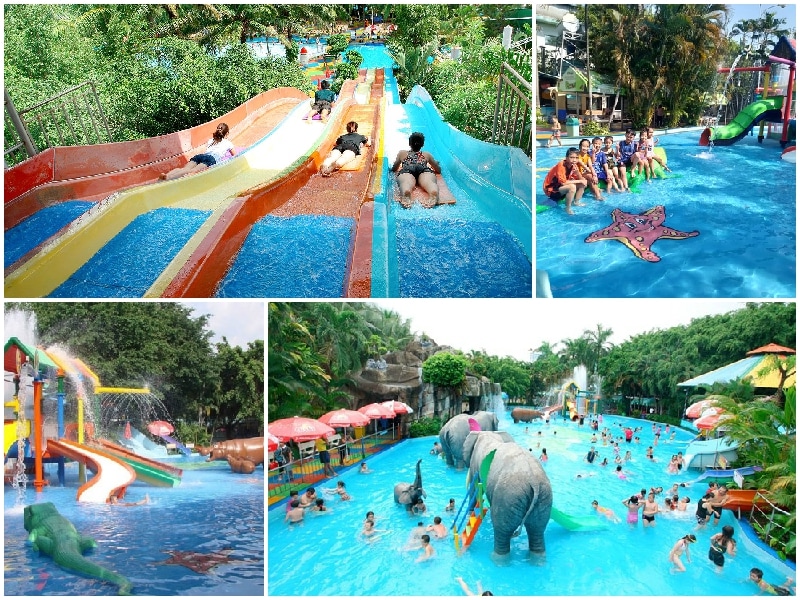 Địa điểm vui chơi ở Sài Gòn cho trẻ nhỏ, công viên nước Đầm Sen