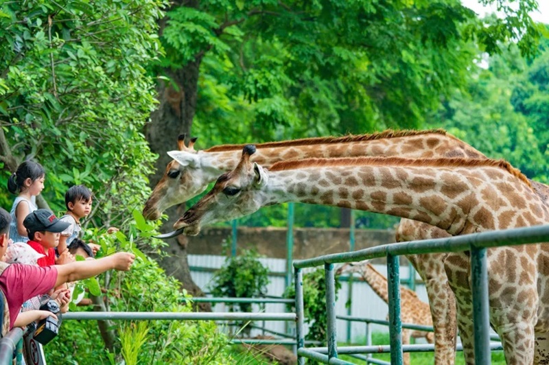 Địa điểm du lịch Sài Gòn dịp hè. Địa điểm du lịch Sài Gòn dịp hè nổi tiếng