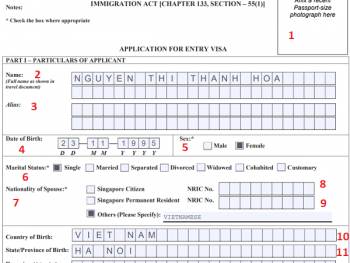 Hướng dẫn cách điền đơn xin visa Singapore chi tiết form 14A.