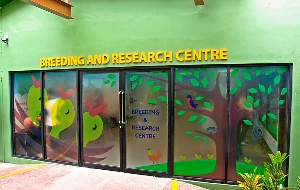 Khám phá Trung tâm Nghiên cứu và Nhân giống tại vườn chim Jurong ở Singapore