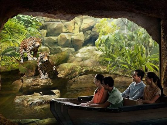 Review và so sánh Singapore Zoo và River Safari Singapore - Giá vé