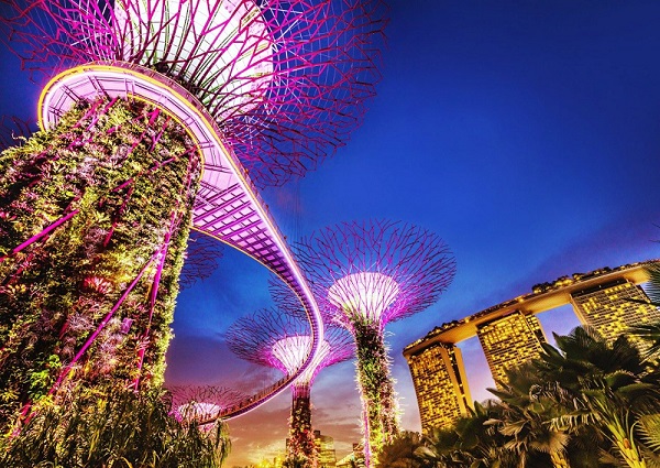 Buổi tối ở Singapore nên đi đâu chơi? Tham quan Gardens by the Bay