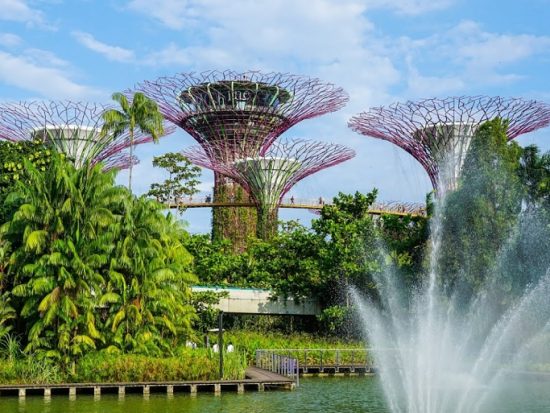 Địa điểm tham quan ở Singapore. Có nên du lịch Singapore tháng 7 không?