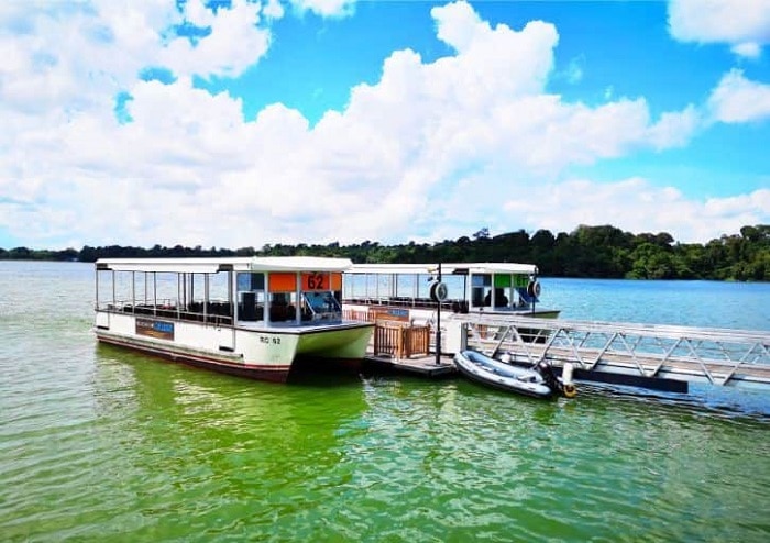 River Safari Singapore có gì thú vị? Trải nghiệm du thuyền Reservoir Cruise
