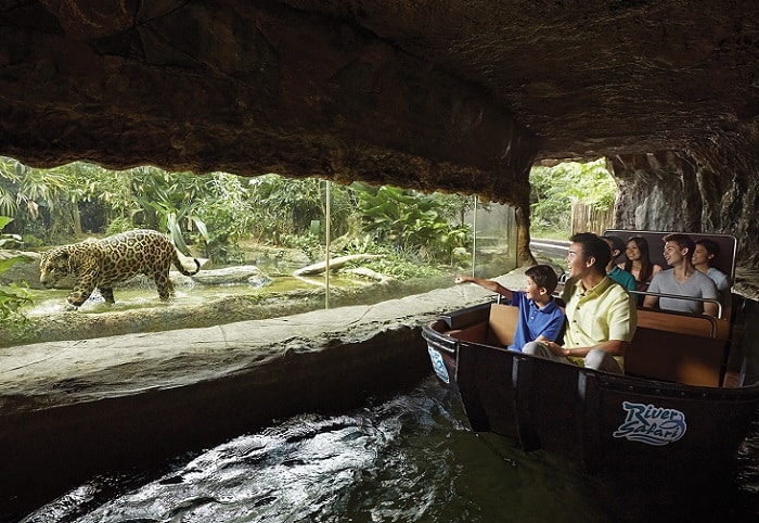 Kinh nghiệm đi River Safari Singapore, River Safari có gì hấp dẫn?