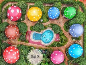 Kinh nghiệm du lịch Khao Yai mới nhất. Nông trại nấm Khao Yai Panorama farm là địa điểm thu hút khách du lịch
