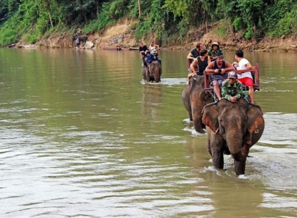Kinh nghiệm du lịch Koh Chang. Trải nghiệm cưỡi voi ở Koh Chang