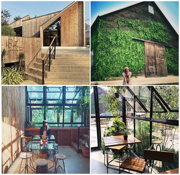 Tìm quán cafe đẹp nhất ở Khao Yai, hãy đến trải nghiệm ở The Birder’s Lodge Coffee 