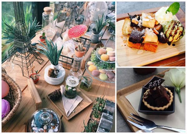 Quán cafe view đẹp nhất Khao Yai: Coffee 22 ° C với những món ăn vô cùng phong phú