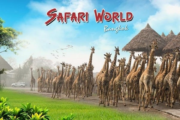 Kinh nghiệm đi Safari World Bangkok