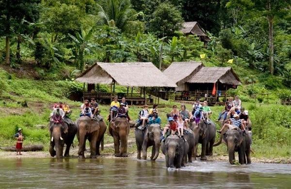 Công viên voi Chiang Mai. Tham quan công viên trên lưng voi