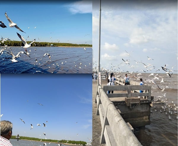 Gần Bangkok có địa điểm tham quan nào thú vị, độc đáo? Địa điểm du lịch gần Bangkok hấp dẫn nhất: Bangpu Recreation Center