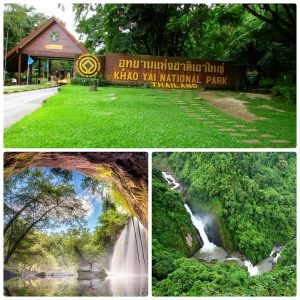 Vườn quốc gia Khao Yai - địa điểm tham quan không thể bỏ qua trong lịch trình du lịch Khao Yai 2 ngày 1 đêm