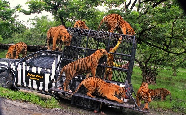 Những địa điểm vui chơi giải trí cho trẻ em nổi tiếng ở Thái Lan 