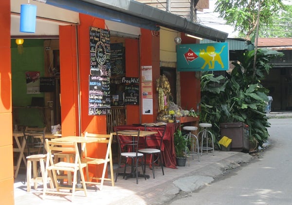Nhà hàng Cat House, địa chỉ ăn sáng ở Chiang Mai ngon, nổi tiếng